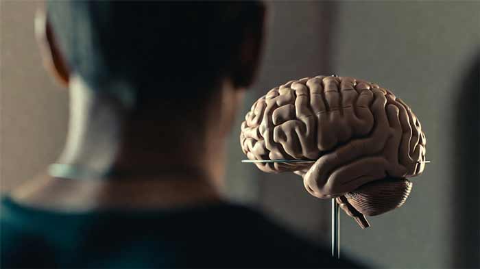 BRAIN
